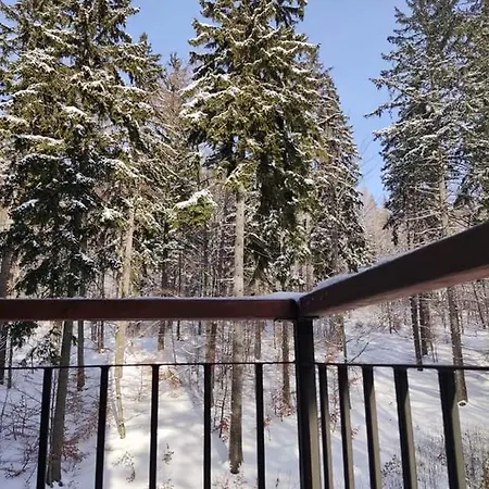 Trevilles - Hills Szklarska Poręba
