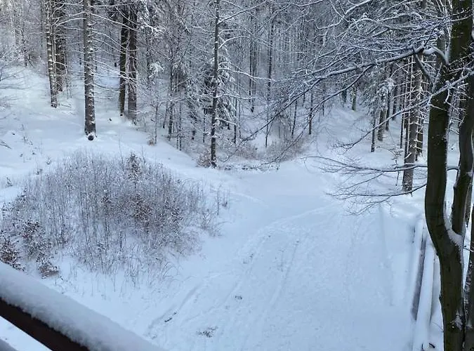 Trevilles - Hills Apartment